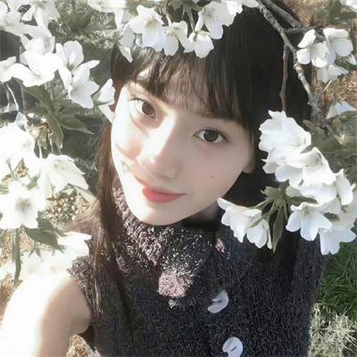 小马宝莉:新世代国语版