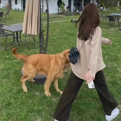 女鹿