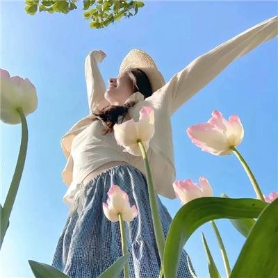 红楼梦第二部:黛玉葬花